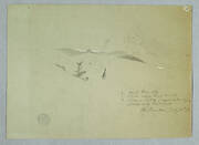 Valleys and Snow Covered Ridges, Riobamba, Ecuador