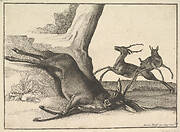 A dead stag, anonymous copy