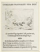 Salamander in het vuur