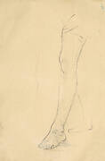 A Study of a Leg