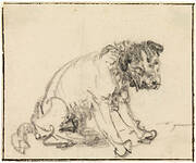 Studie eines sitzenden Hundes