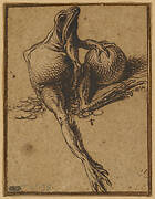 A Frog Sitting on Coins and Holding a Sphere: Allegory of Avarice