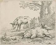 Three swine near a hedge.