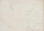 An Eggplant and a Landscape sketch