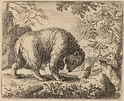 The Bear Distracted with Talk of Honey