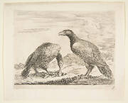Two eagles, one devouring a lamb, from 'Eagles'  (Les aigles)