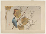 Japanese Knotweed and bird, from the series Seitei's Flowers and Birds