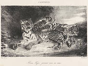 Young Tiger Playing with Its Mother (Jeune Tigre jouant avec sa Mêre)