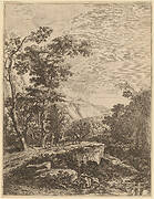 The Woman on the Hinny