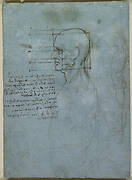 The proportions of the head, and a standing nude