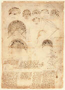 Codex Atlanticus, folio 537 r