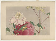Peonies, from the series Seitei's Flowers and Birds