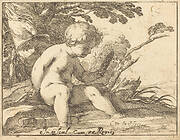 Cupid Looking in a Mirror