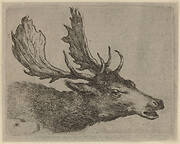 Head of a Stag Turned Right