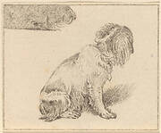 Seated Dog