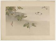 Grafted Stems of Morning Glory and Butterflies, from the series Seitei's Flowers and Birds