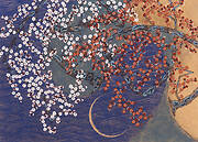 Plum blossoms of the waterside