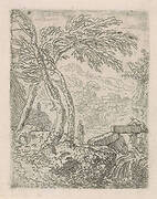 Landschap met waterval