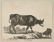 Plate 7: cow, from 'Various animals' (Diversi animali)