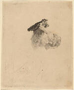 Old Man Shading His Eyes with His Hand