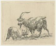 Twee geiten of bokken