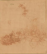 A branch of blackberry, and a stem of bird's-foot trefoil