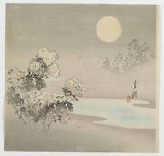 Chrysanthemums In Moonlight