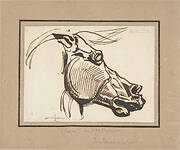 Head of a Horse, after the Parthenon