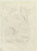 Groepen grazende en liggende schapen