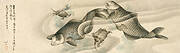 Picture of Koi Carp and Turtles, Color Painting on Paper