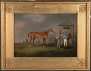 Quiz, After His Last Race at Newmarket