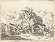 Capricci di varie battaglie