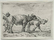 The Two Buffaloes