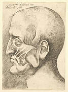 Ecorche head of a man in profile to left