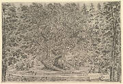 A large inhabited tree in center with ramps leading around the trunk, below a stone parapet on which people are resting or sitting, tall trees surrounding, from 'Views of the villa at Pratolino' (Vues de la villa de Pratolino)