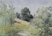 Spring Landscape, Branchville