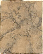 Bust of a Youth Looking Upward [recto]