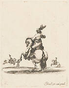 Cavalier vu par derriere