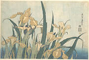葛飾北斎画　燕子花|Grasshopper and Iris