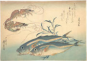 魚づくし　車海老　鯵にたで|Aji Fish and Kuruma-ebi, from the series Uozukushi (Every Variety of Fish)