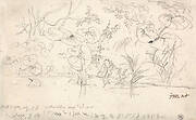 Studies of Plants, August 2, 1815