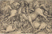Group of Seven Horses in Woods
