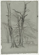 Landscape Study with Trees